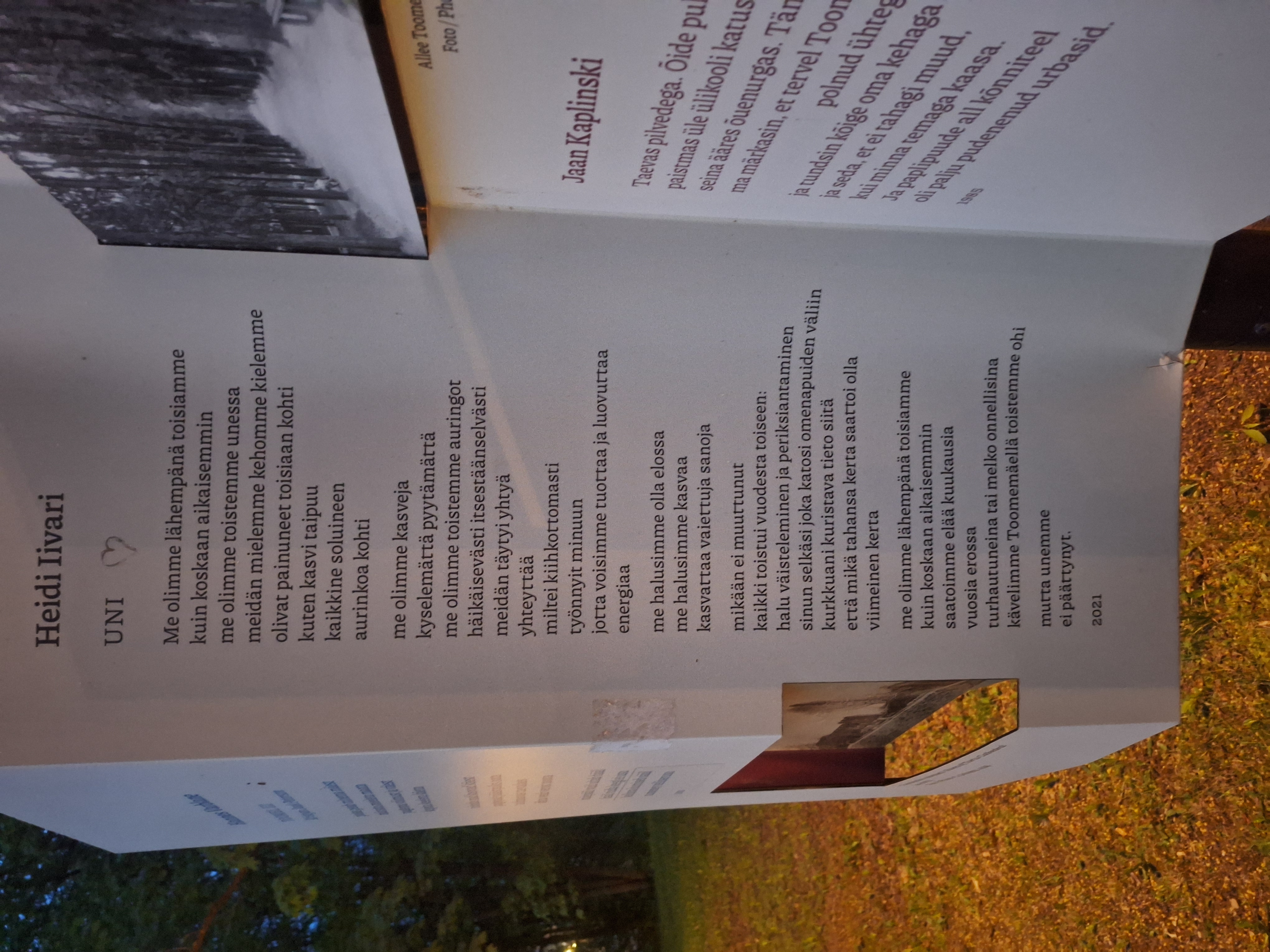  Public Poems on Dome Hill
