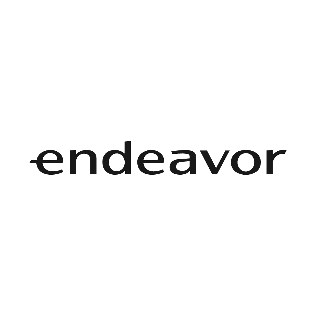 Hernan Lopez Family Foundation: The Endeavor Logo