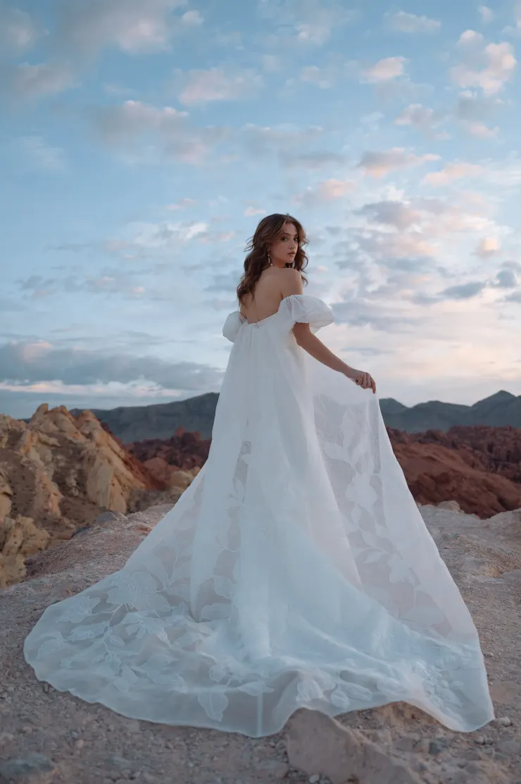 Jenny by Jenny Yoo Online Store - Bridal Gown and Wedding Dress Shop, Plus  Sizes