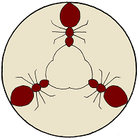 Ants Fujinaga