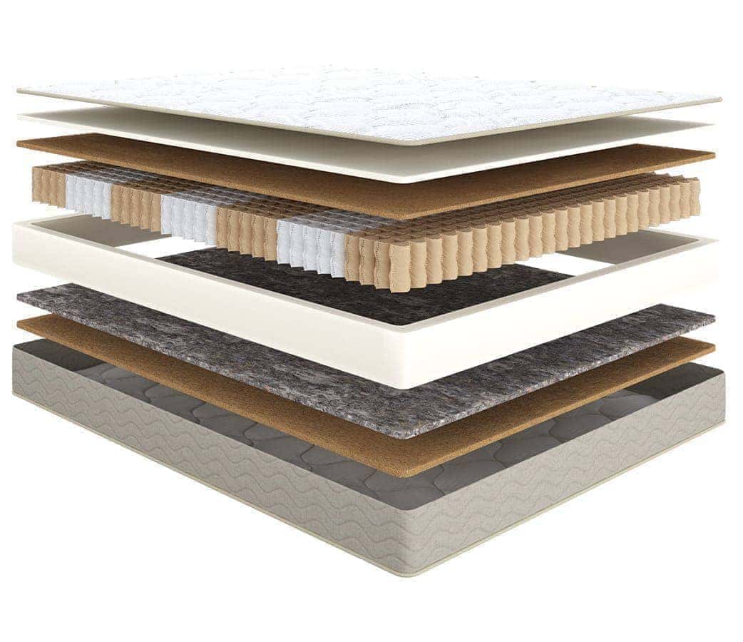 Classic Active Cocos