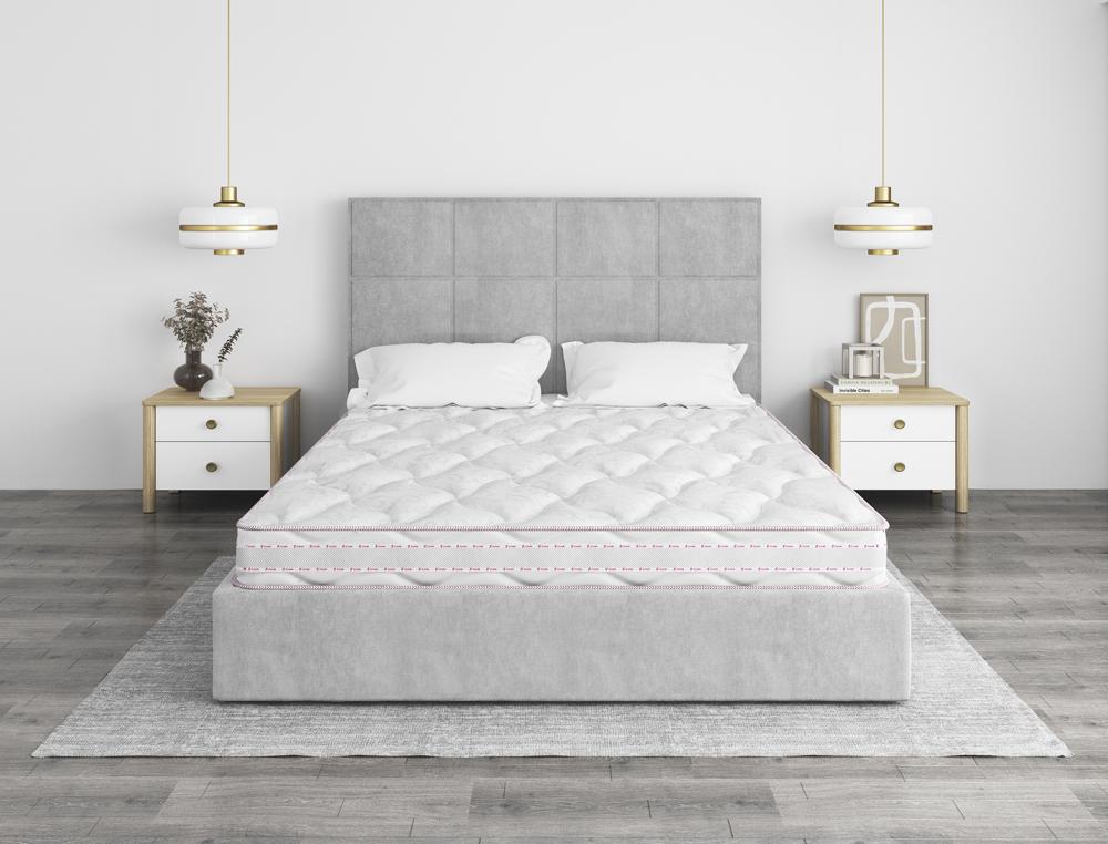 Libre Roll 12 Balance