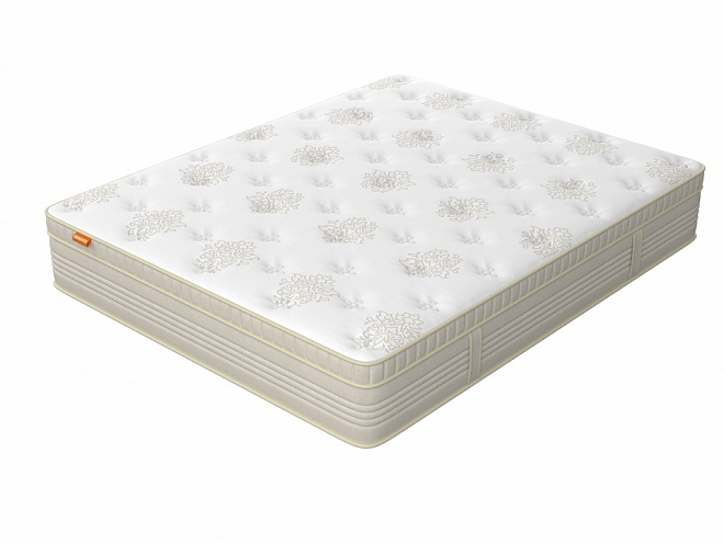 Orto Premium Soft