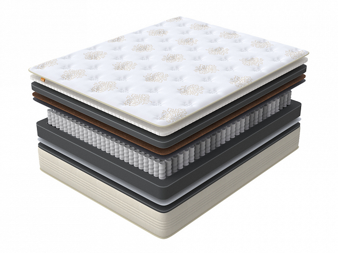 Comfort Prim Middle Plus