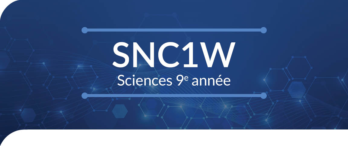 Science, 9ᵉ année, cours décloisonné (SNC1W) - Cours en ligne