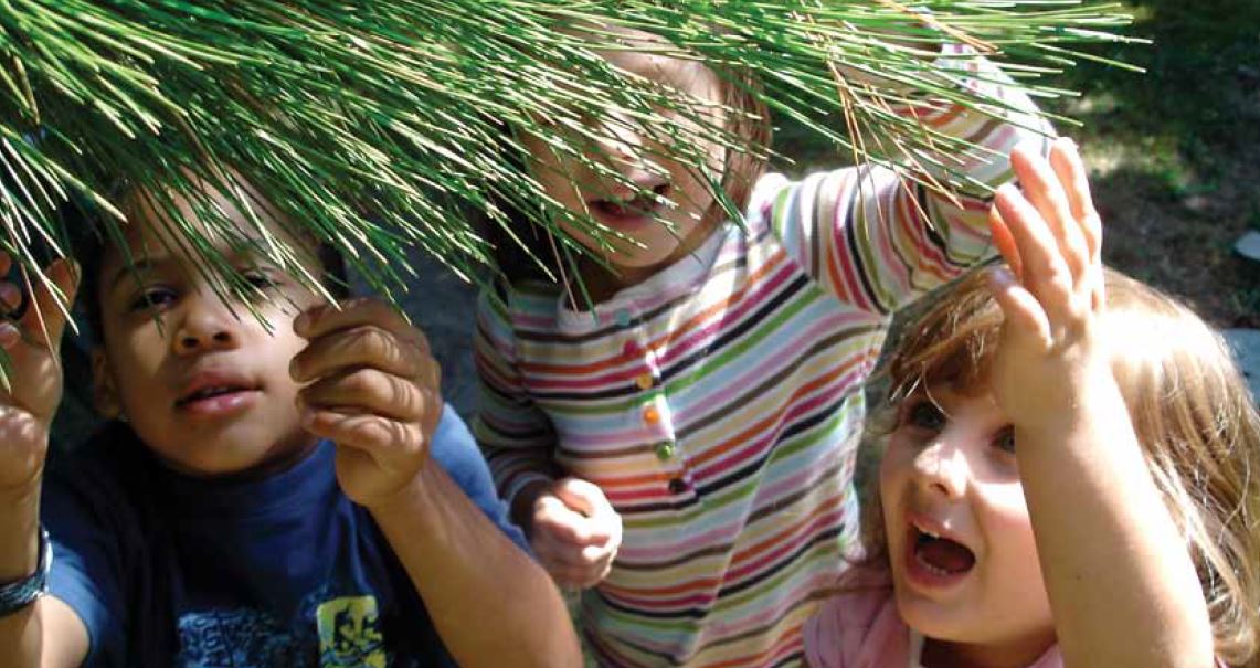 Curiosité naturelle : Aider l’enfant à interpréter le monde par l’apprentissage par l’enquête dans l’environnement, 1<sup>re</sup> édition