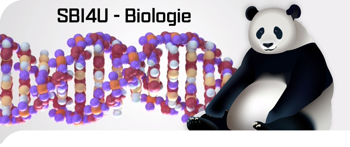 SBI4U - Biologie