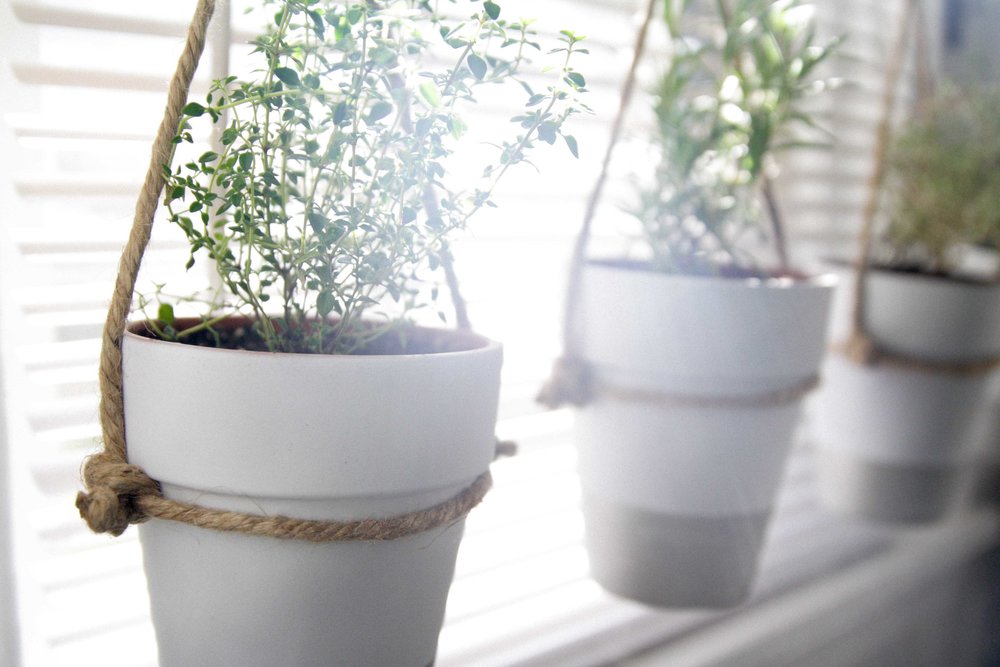 Actividades para festejar el Día del Padre: Maceteros DIY - La Haus