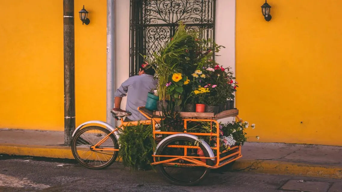 San Rafael, colonia cosmopolita y tradicional - La Haus