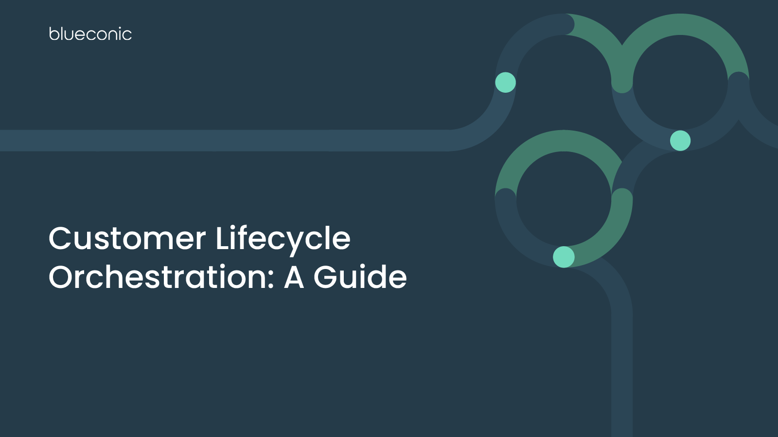 Customer Lifecycle Orchestration: A Guide | BlueConic