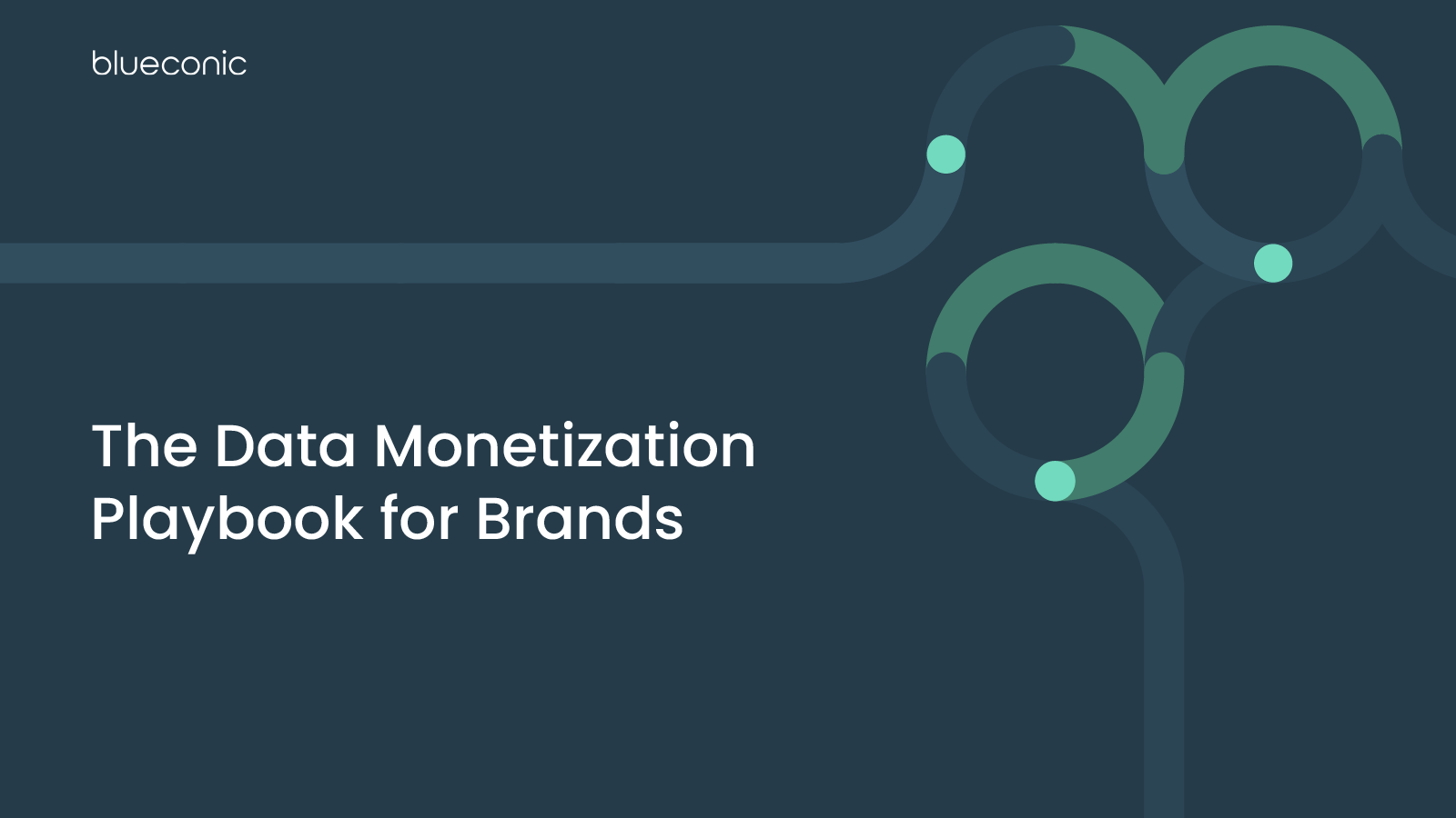 The Data Monetization Playbook For Brands | BlueConic