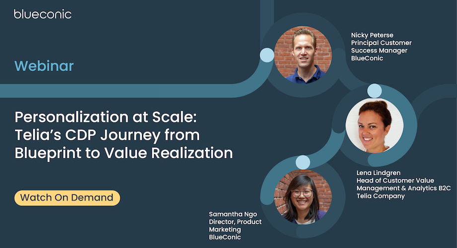 Personalization at Scale: Telia’s CDP Journey from Blueprint to Value ...
