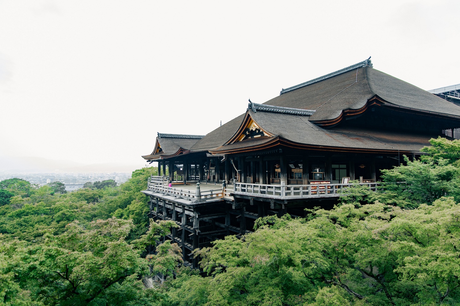 世界遺産「清水寺（音羽山清水寺）」 早朝拝観プライベートツアー【1日