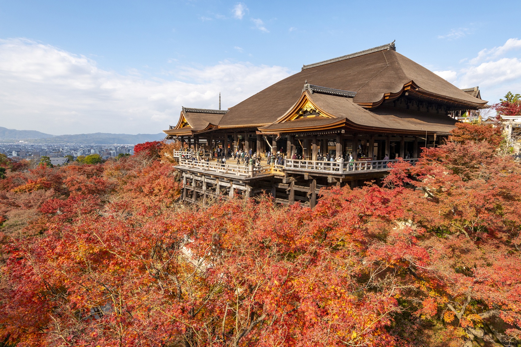 中世の寺社勢力と境内都市 世界遺産「清水寺（音羽山清水寺）」 早朝拝観プライベート