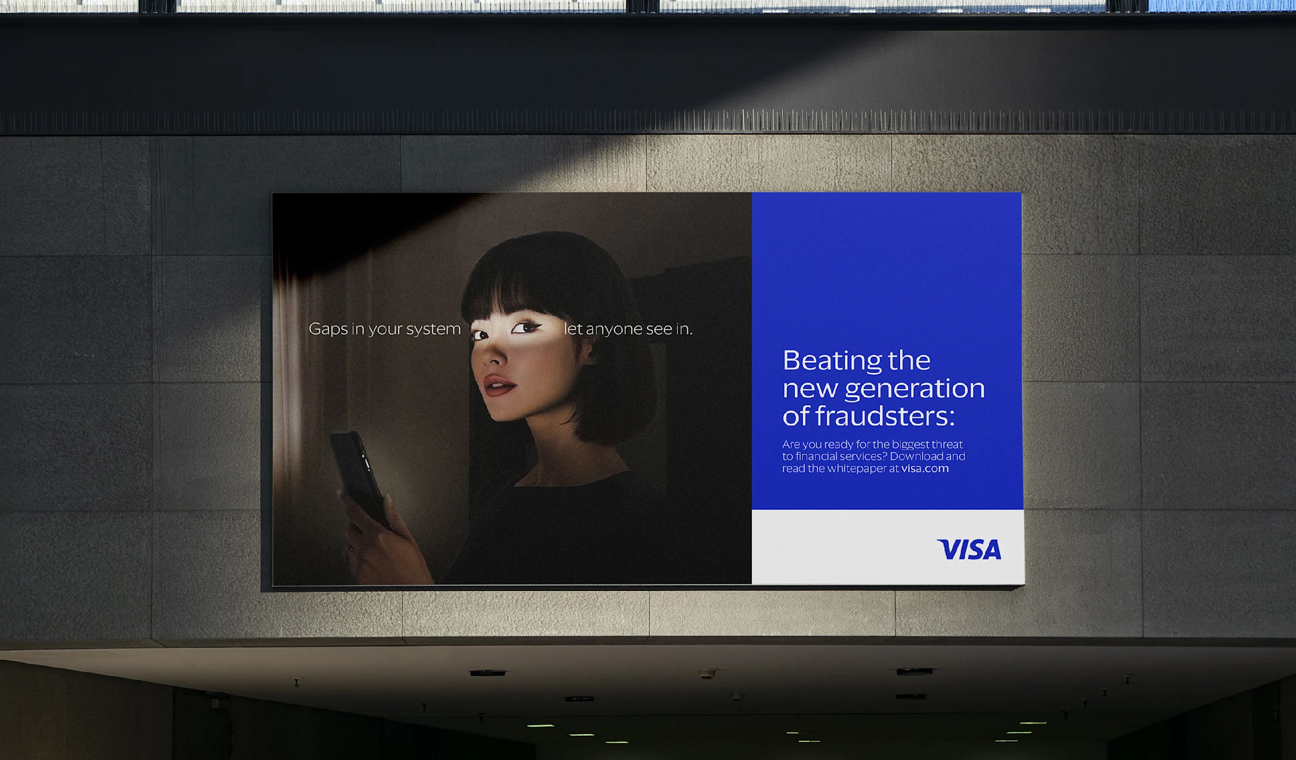 fst Website Case Study Visa ProtectCS Visa Protect Visual C