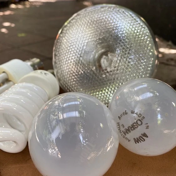 light globes