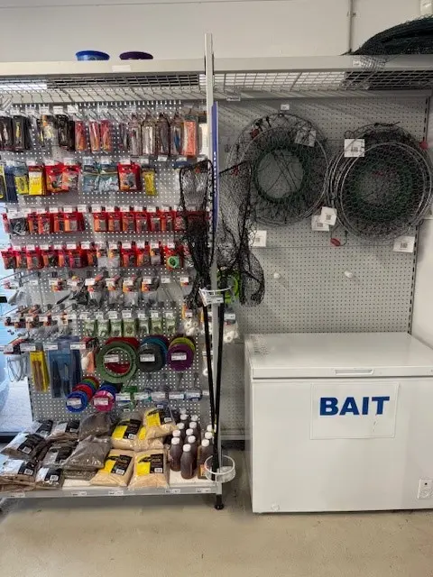 Fishing and Bait