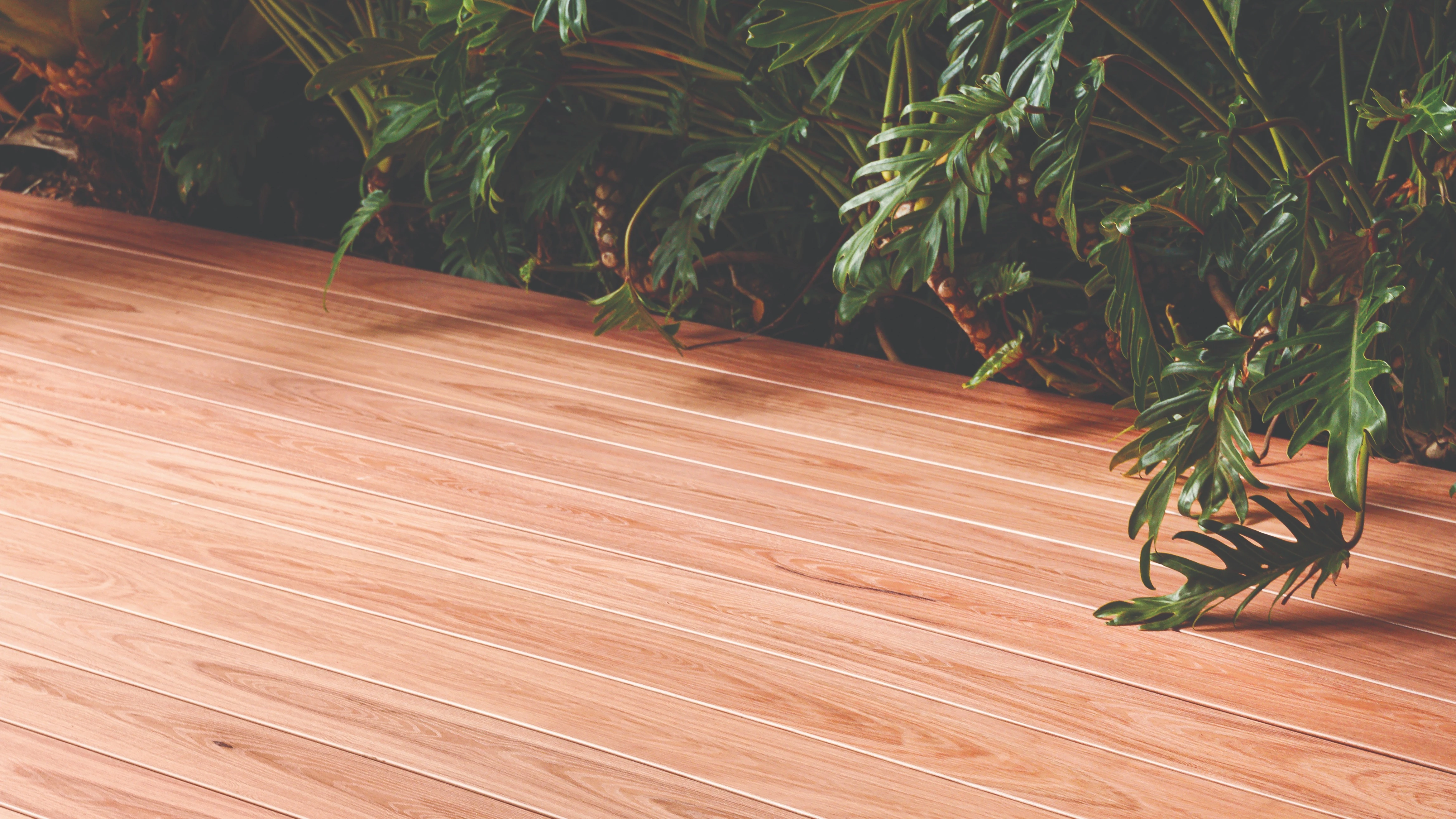 DECK-ATHLON HEADER
