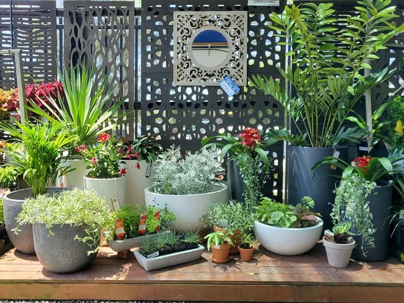 Lake Mitre 10 Garden Centre