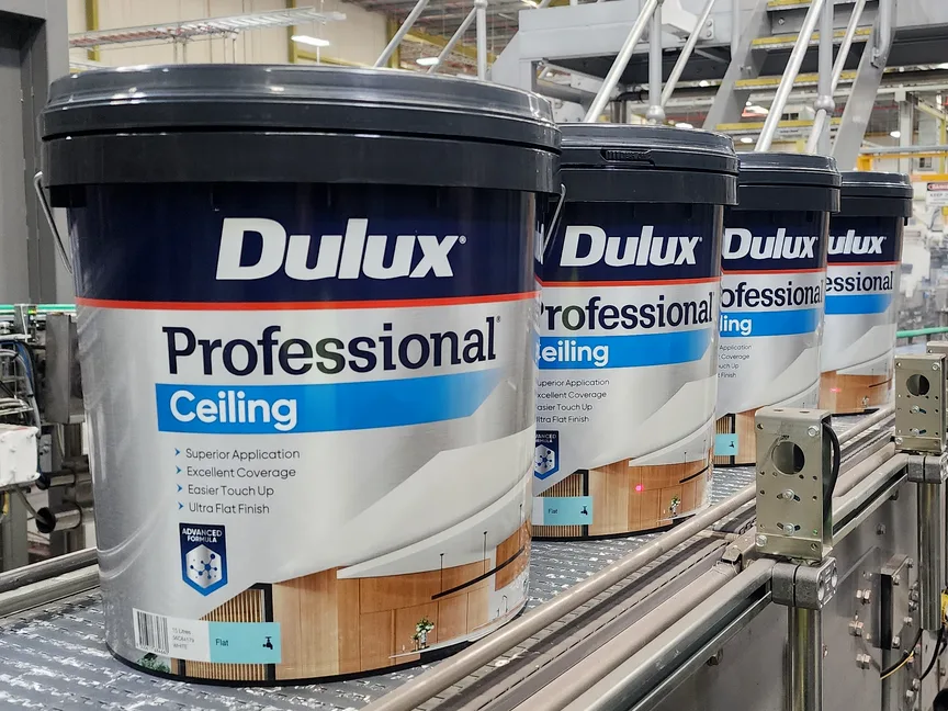 Dulux professional