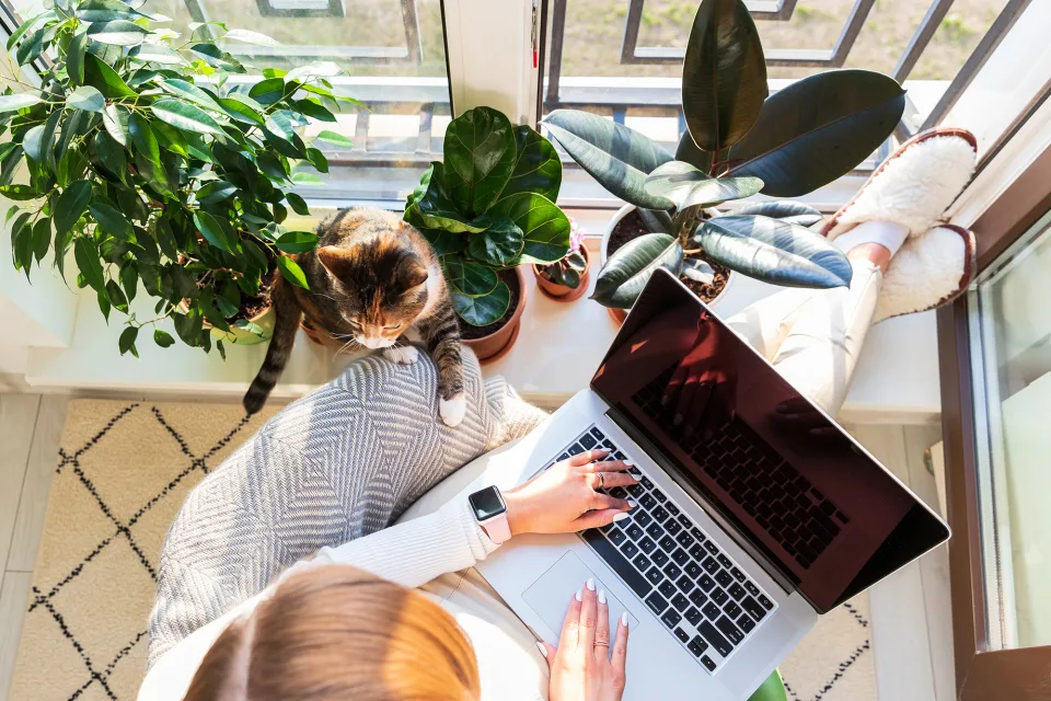 Frau sitzt am Fenster am Laptop und eine Katze leistet ihr Gesellschaft - Umzug leicht gemacht Deutsche Glasfaser