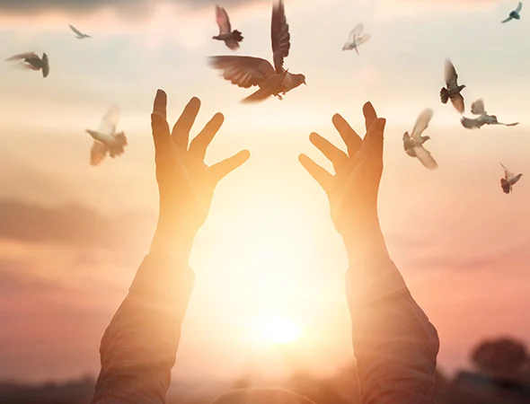 column_image_3_0-th-th