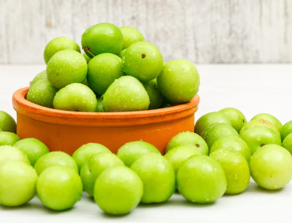 topic-07-thumbnail-th-th