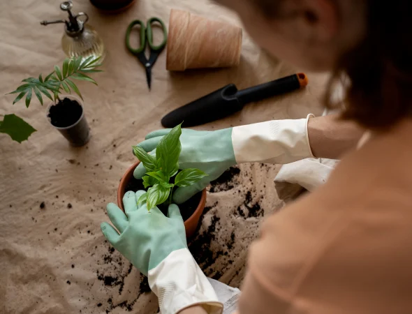 topic-15-thumbnail-th-th