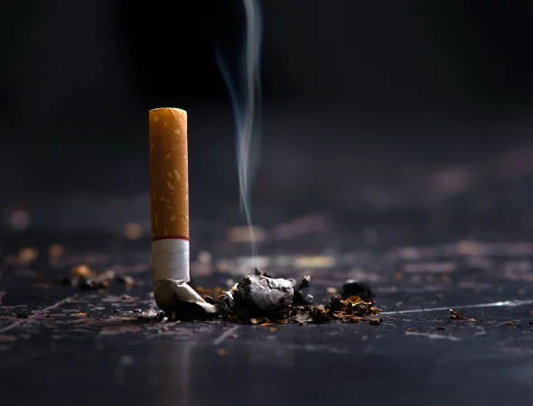 topic-19-thumbnail-th-th