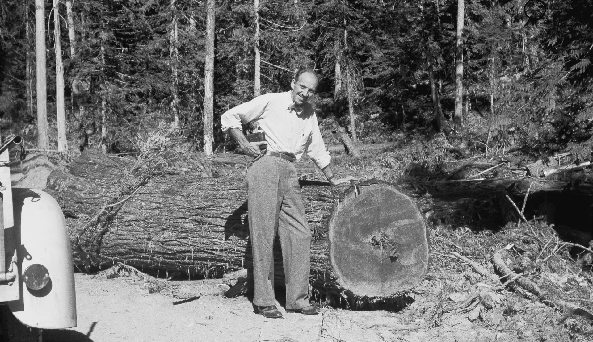 man posing next to a fallen tree log with a diameter that is half his height