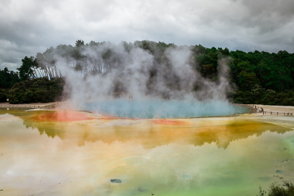 羅托魯瓦（Rotorua）