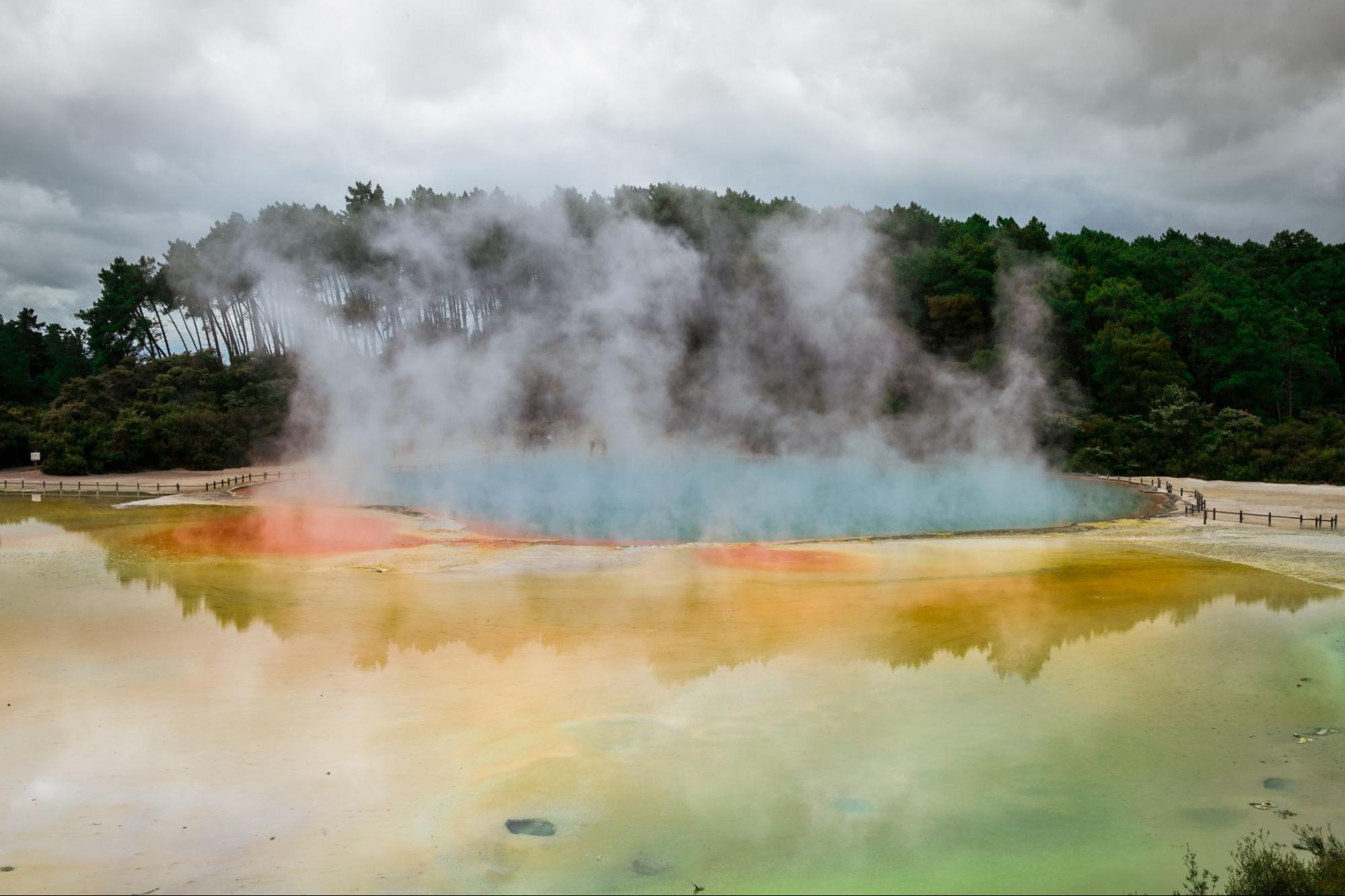 羅托魯瓦（Rotorua）