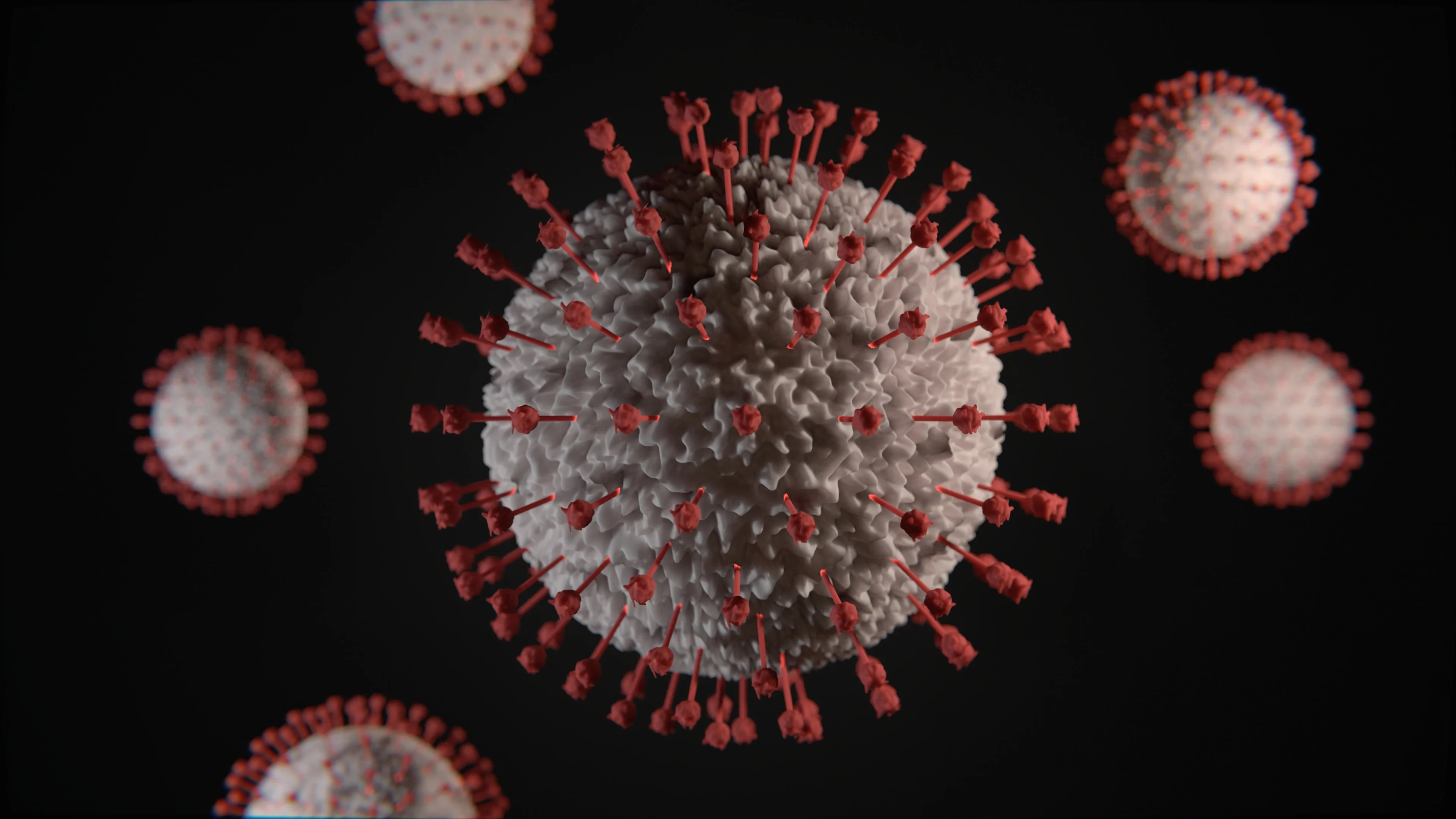 The COVID-19 virus pictured.