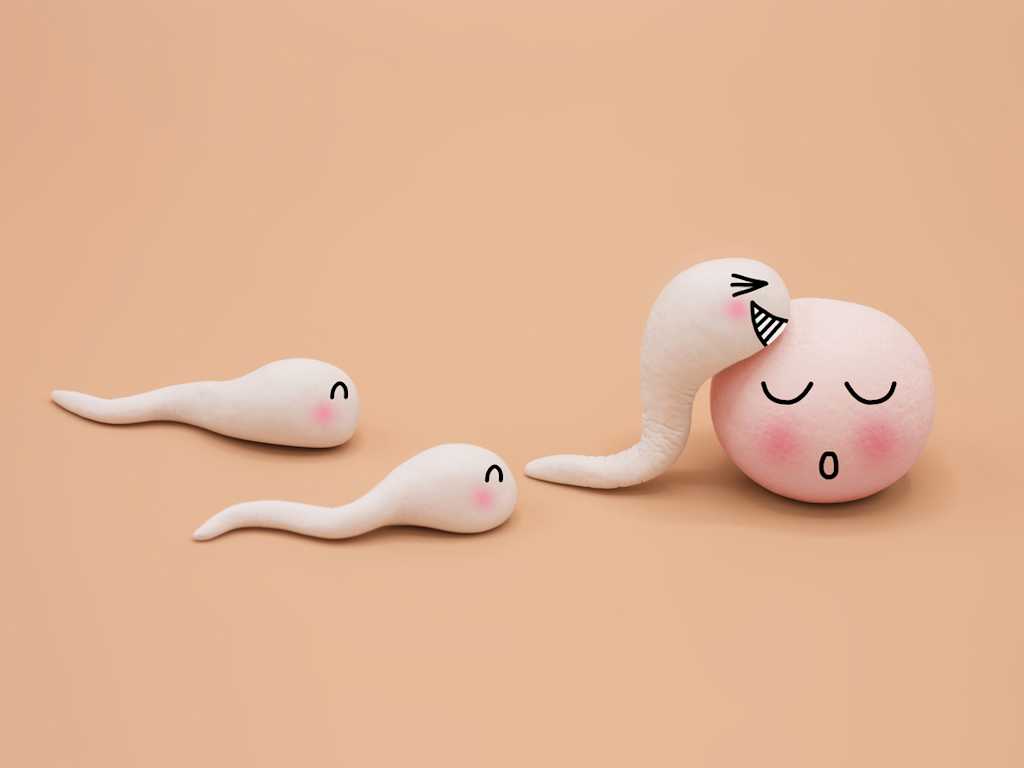 Rund Ums Ei Wireltern Ch Rund Ums Ei Wireltern Ch