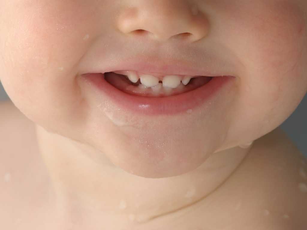 Nachwachsen können bleibende zähne Können Weisheitszähne