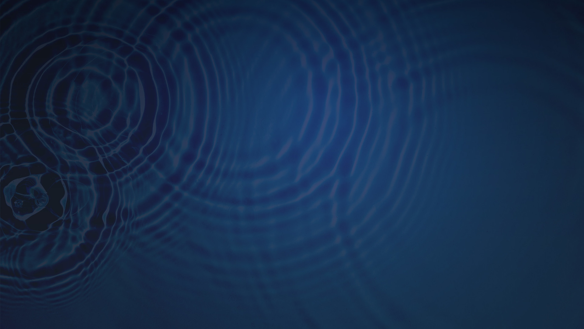 AdobeStock_446392164.jpg