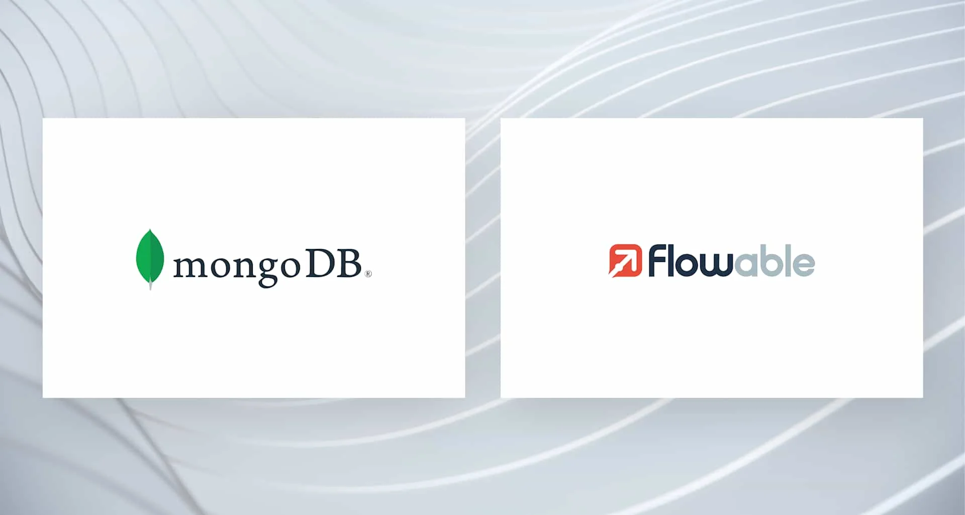 Flowable + mongoDB logos no white background