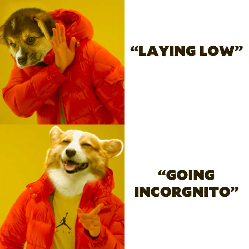 A variation on the Drake meme with corgi heads instead of Drake's head.
