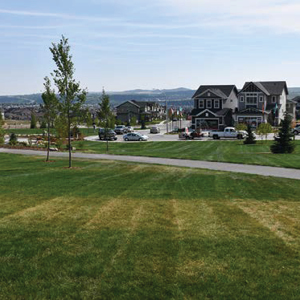 Heritage Hills In Cochrane By Trico Homes