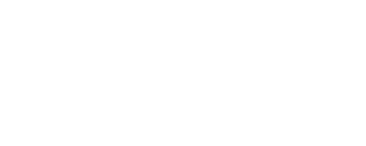 Bridgeport_logo_Horizontal-white.png 1730751733971