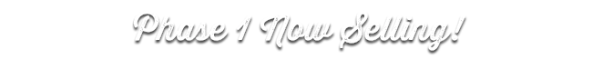 phase 1 now selling.webp 1737397301234