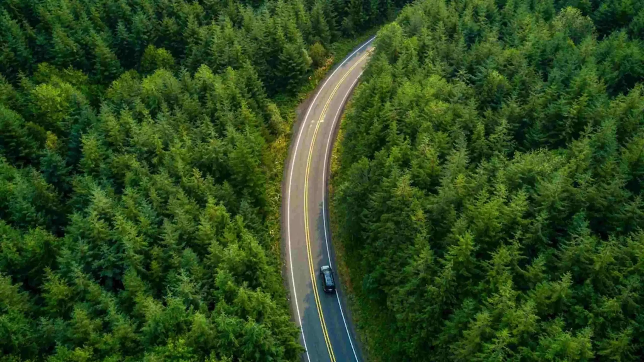 Aerial view of a winding asphalt road with double yellow lines, flanked by dense evergreen forests. A dark SUV drives along this vital infrastructure route.