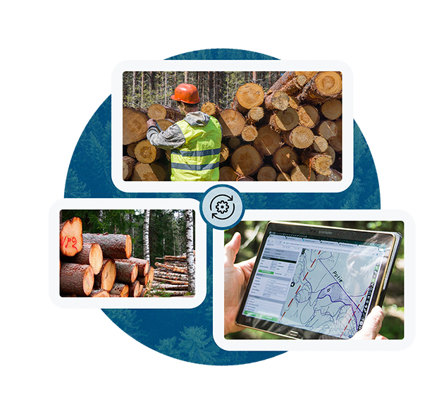 A forestry worker in a vest and helmet inspects logs. Nearby, logs are marked "V28" and a tablet screen shows a digital map. Forest background.