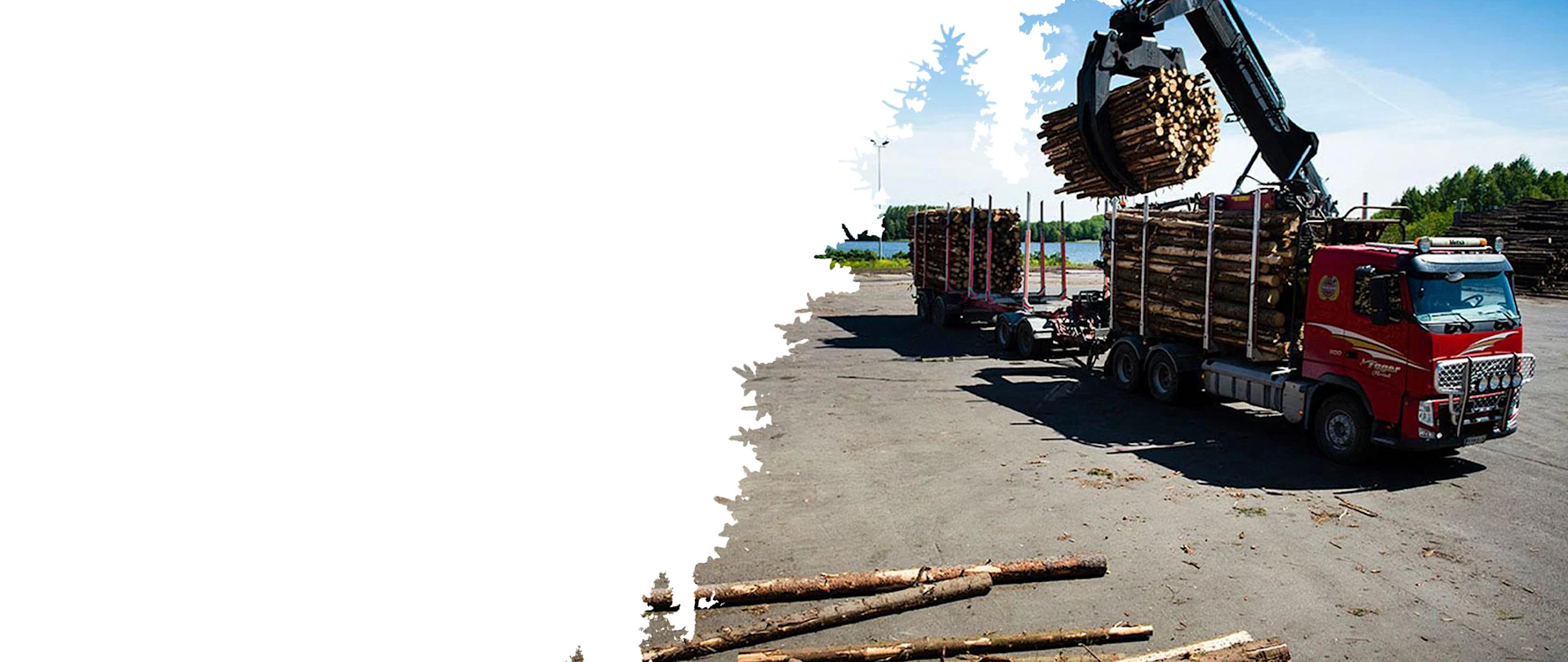 A large loader places logs onto a colorful truck in a lumber yard. Stacks of logs are visible around, conveying an industrious, rugged atmosphere.