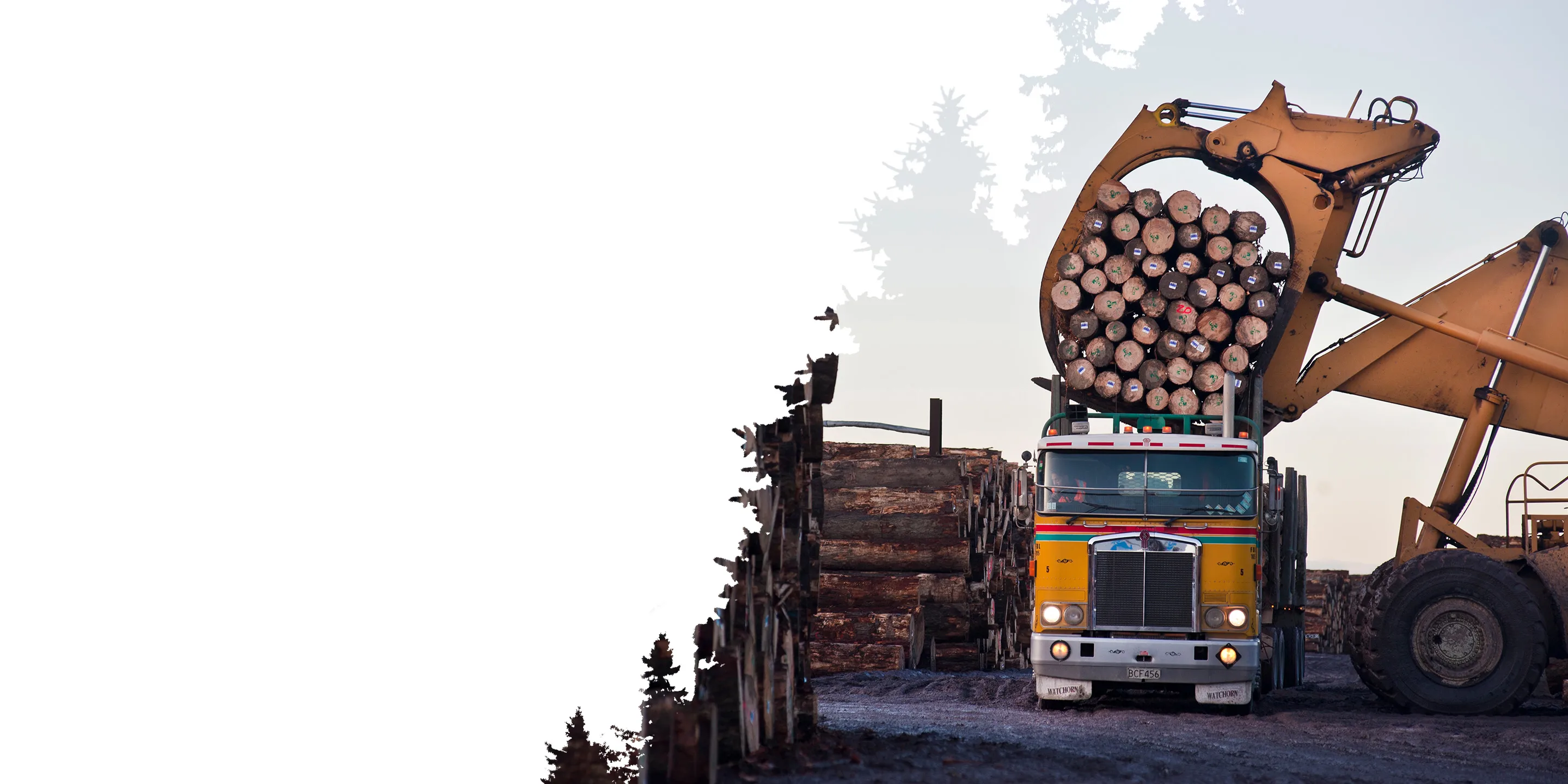 A large loader places logs onto a colorful truck in a lumber yard. Stacks of logs are visible around, conveying an industrious, rugged atmosphere.