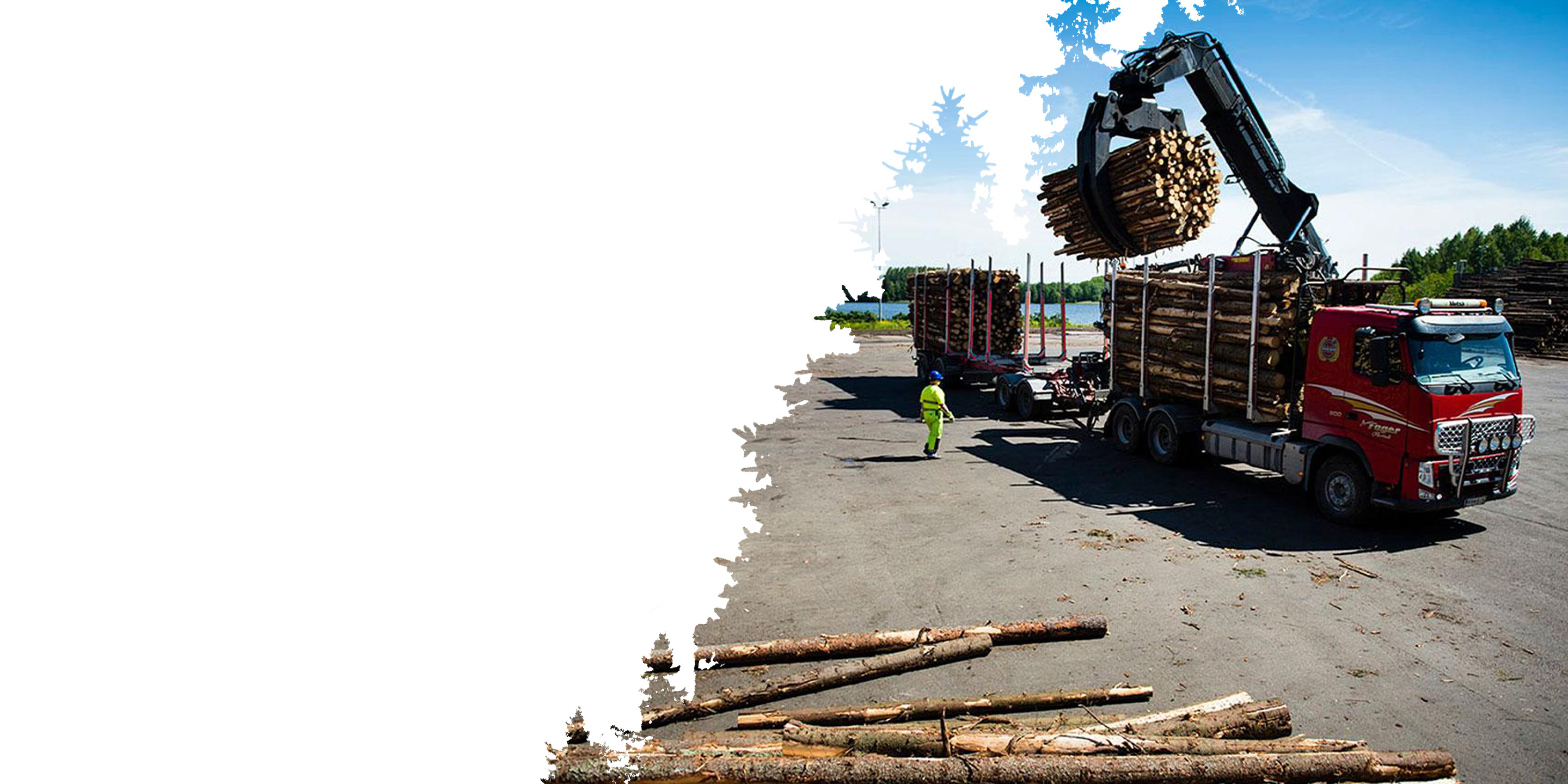 A large loader places logs onto a colorful truck in a lumber yard. Stacks of logs are visible around, conveying an industrious, rugged atmosphere.