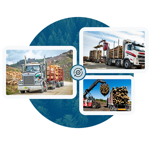 Collage of three images showing logging trucks loaded with timber. Trucks vary in design. Background features a blue circle with a forest motif.