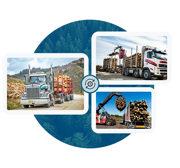 Collage aus drei Bildern, die mit Holz beladene Holztransporter zeigen. Die Lkw unterscheiden sich in ihrer Bauart. Im Hintergrund ist ein blauer Kreis mit einem Waldmotiv zu sehen.