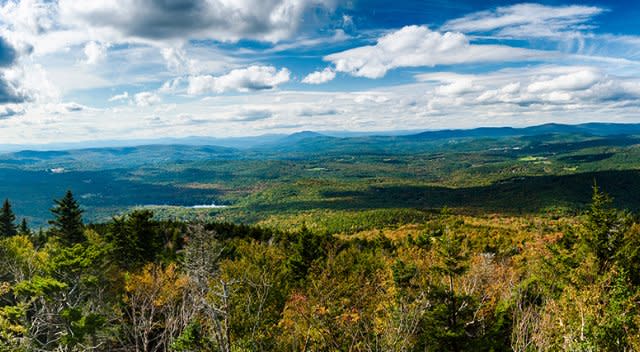 Panoramic view of a dense forest landscape under a blue sky with fluffy white clouds, seen from a high elevation.