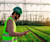 Male worker with hard hat and reflective vest inspecting power grid on mobile device